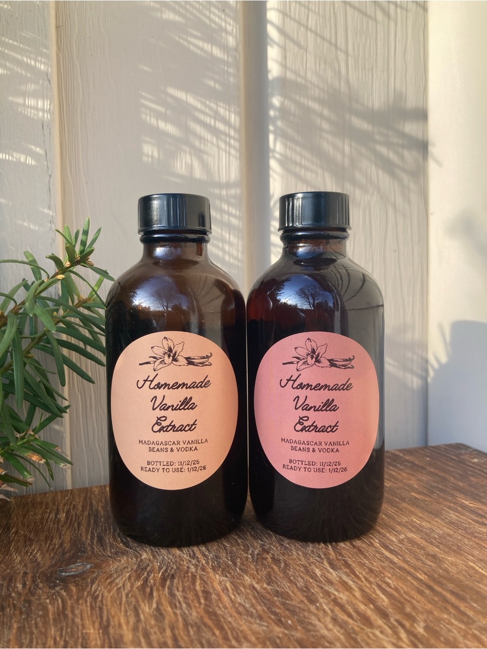Homemade Vanilla Extract (4oz) | Madagascar Beans | Small Batch Aged | Pure